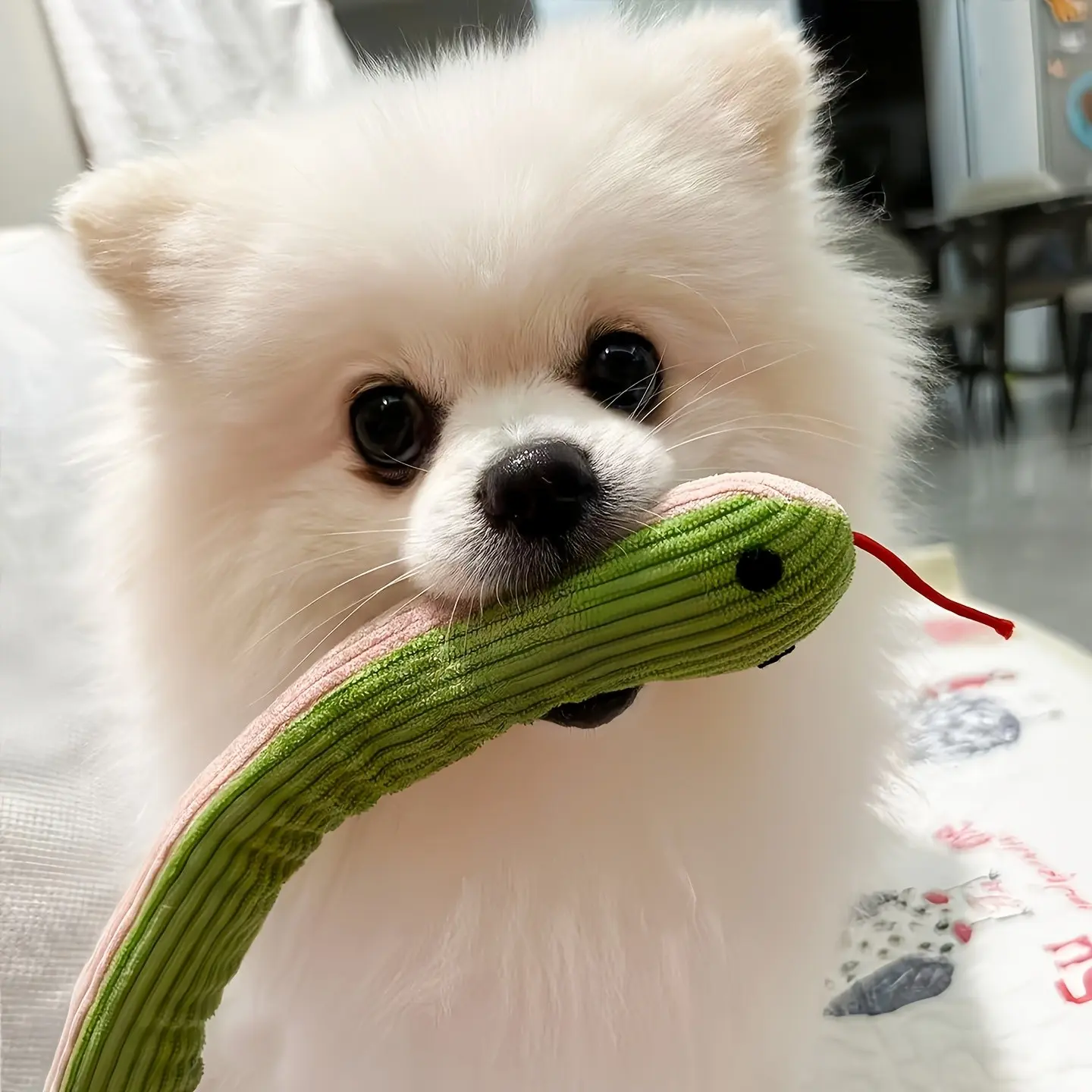 Interactive Pet Toy Snake for Cats and Dogs, 37cm, Chewable