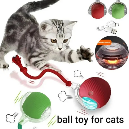 Interactive Tail-Equipped Cat Ball Chaser Toy, USB Rechargeable Motion-Activated Smart Pet