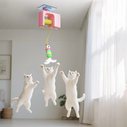 Automatic Cat Toy for Indoor Play, Self-Playing Interactive Ball