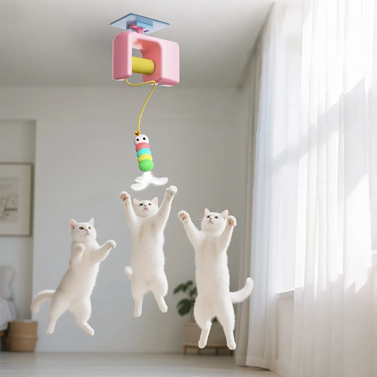 Automatic Cat Toy for Indoor Play, Self-Playing Interactive Ball