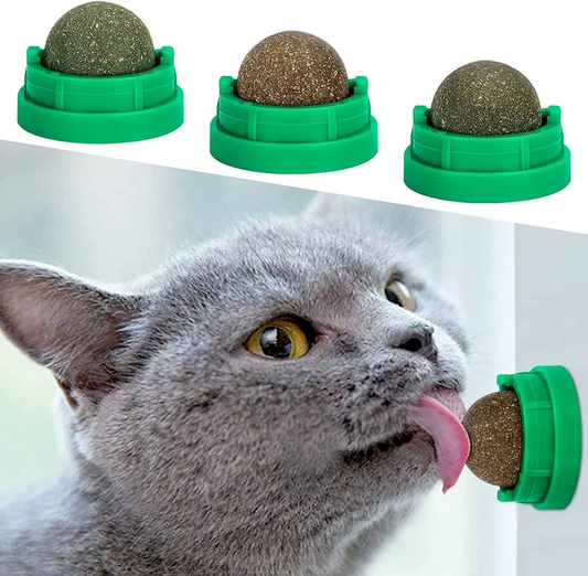 Catnip Toys Balls 4 PCs Edible Silvervine for Cats, Lickable Kitten Energy Balls