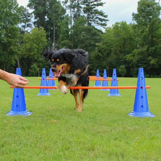 1Set/32Pc Professional-grade dog agility training set—covering obedience, agility, and retrieval training; includes 8 agility obstacles and 8 agility training poles.