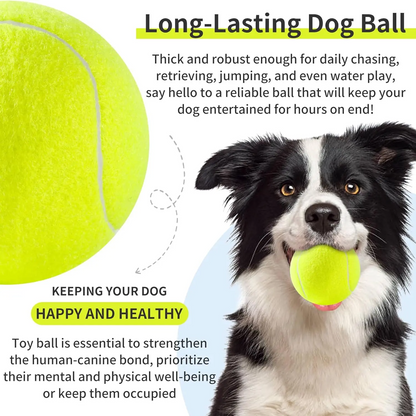 Large Tennis Ball for Dogs 4 Inch Big Tennis Ball for Outdoor Play  for Small, Medium