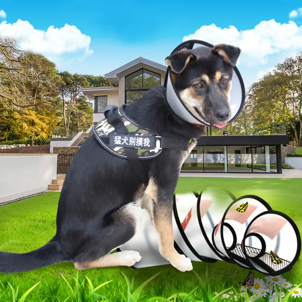 1Pcs (Add-on item) Not available for delivery if purchased separately! Soft Edges Adjustable Anti-Bite Circle Puppy Pet