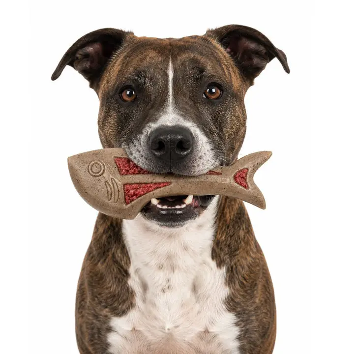 Dog Fish Nylon Dog Chew & Enrichment Toy