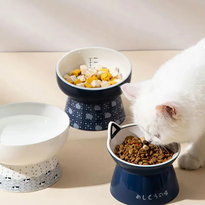 Ceramic cat bowl, impact resistant food bowl, dog bowl