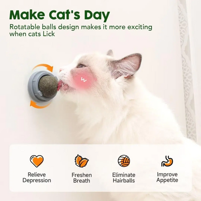 Catnip Toys Balls 4 PCs Edible Silvervine for Cats, Lickable Kitten Energy Balls