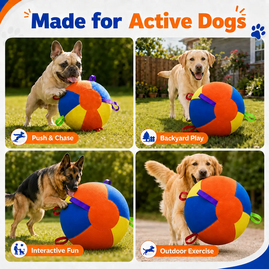 Large Dog Herding Ball with Handles & Pump