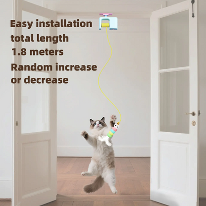 Automatic Cat Toy for Indoor Play, Self-Playing Interactive Ball