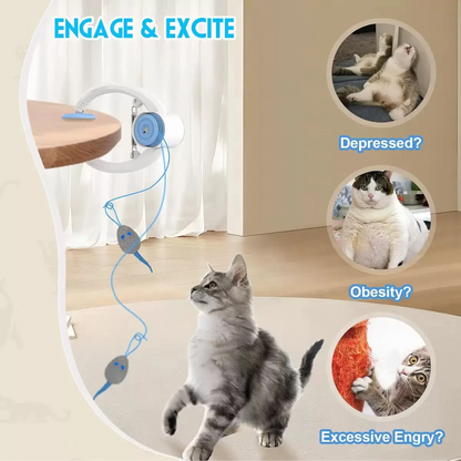 Electric Cat Teaser with Interactive Pet Toy