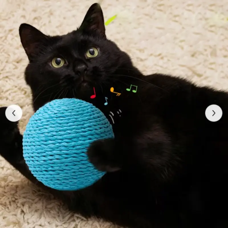 2 Pack Cat Toy Sword Ball Rolling Ball Extra Large Self-Entertainment Stress