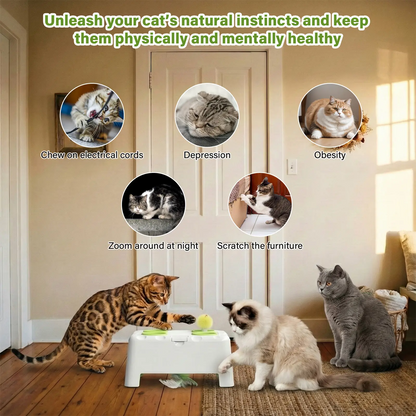 Magic House Cat Toy features two modes: Whack-a-Mole and Spinning Feathers. Suitable for all cats