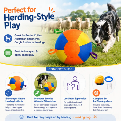 Large Dog Herding Ball with Handles & Pump