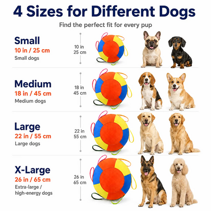 Large Dog Herding Ball with Handles & Pump