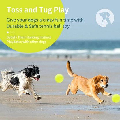 Large Tennis Ball for Dogs 4 Inch Big Tennis Ball for Outdoor Play  for Small, Medium