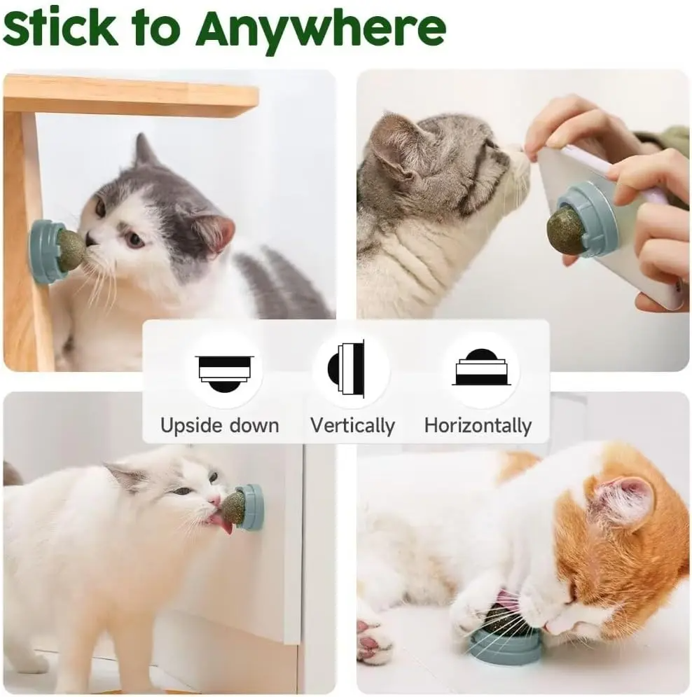 Catnip Toys Balls 4 PCs Edible Silvervine for Cats, Lickable Kitten Energy Balls