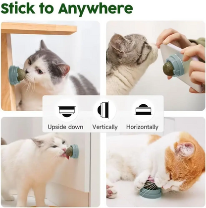 Catnip Toys Balls 4 PCs Edible Silvervine for Cats, Lickable Kitten Energy Balls
