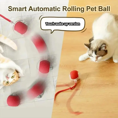 Interactive Tail-Equipped Cat Ball Chaser Toy, USB Rechargeable Motion-Activated Smart Pet