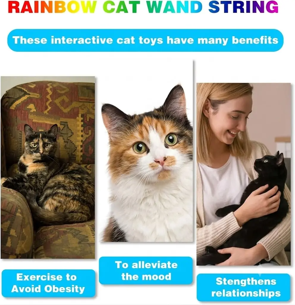 Cat Teaser Wand Toy, Interactive Rainbow Ribbon Wand with Elastic Satin String