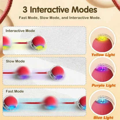 Interactive Tail-Equipped Cat Ball Chaser Toy, USB Rechargeable Motion-Activated Smart Pet