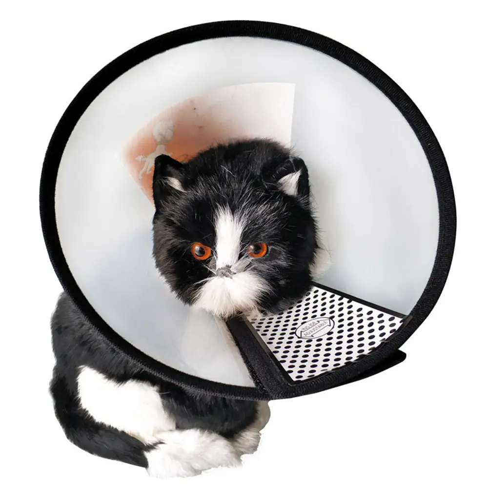 1Pcs (Add-on item) Not available for delivery if purchased separately! Soft Edges Adjustable Anti-Bite Circle Puppy Pet
