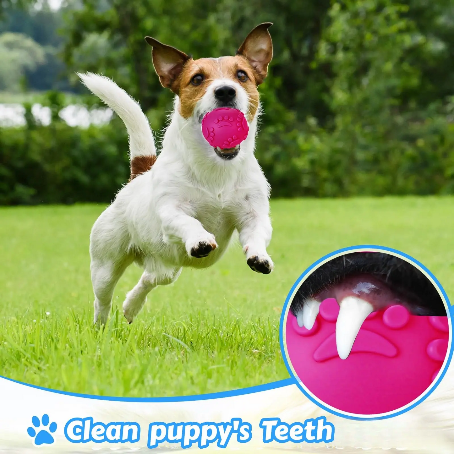 Indestructible Dog Chew Ball,Natural Latex Rubber Squeaky Ball Dog Lover And Dog Mom Love Toy