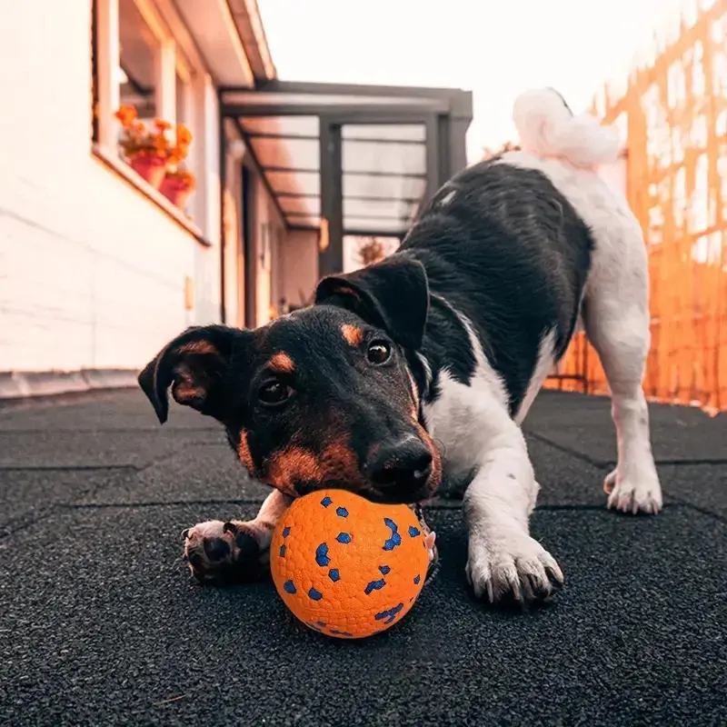 Intelligent Electric Bouncing Ball Toy for Dogs & Cats