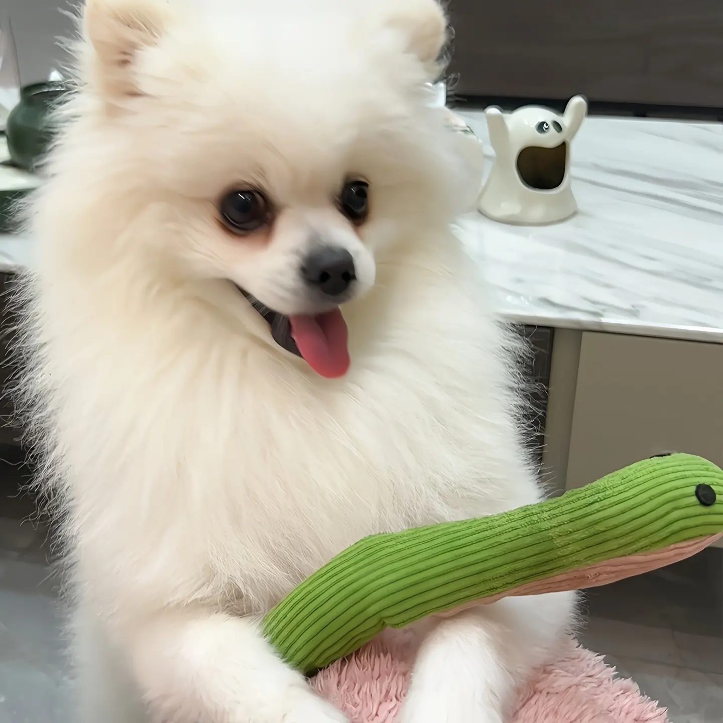 Interactive Pet Toy Snake for Cats and Dogs, 37cm, Chewable