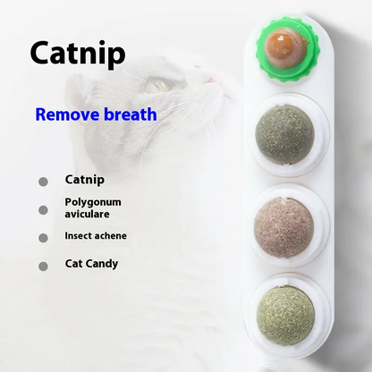 4-in-1 Rotating Catnip Silver Vine Ball Cat Toy - Edible Safe Material