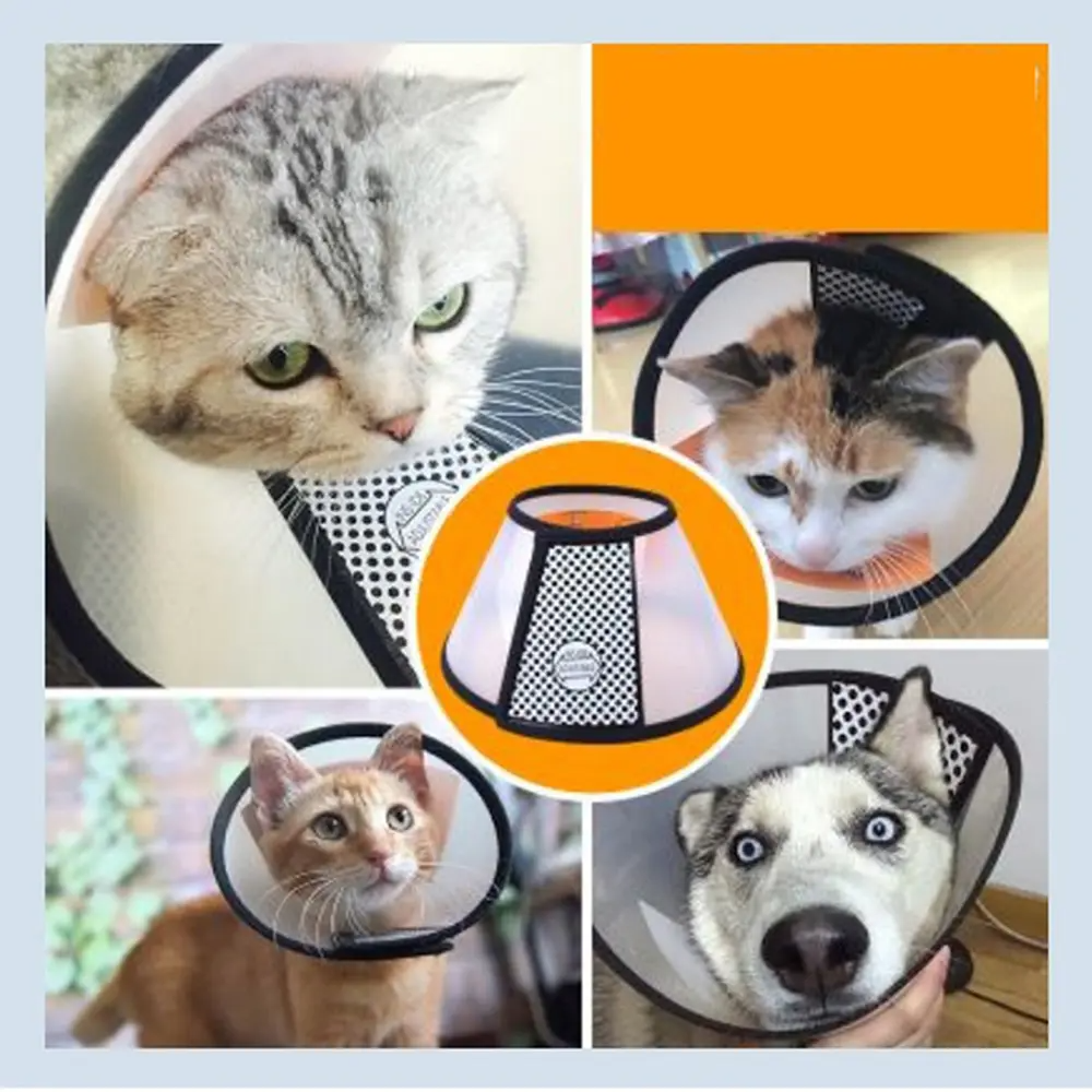 1Pcs (Add-on item) Not available for delivery if purchased separately! Soft Edges Adjustable Anti-Bite Circle Puppy Pet