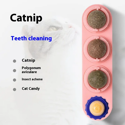 4-in-1 Rotating Catnip Silver Vine Ball Cat Toy - Edible Safe Material