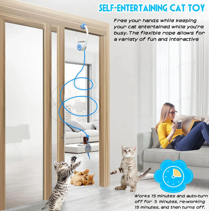 Electric Cat Teaser with Interactive Pet Toy